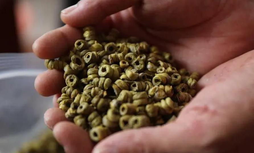霍山铁皮石斛的养生茶饮制作与饮用方法